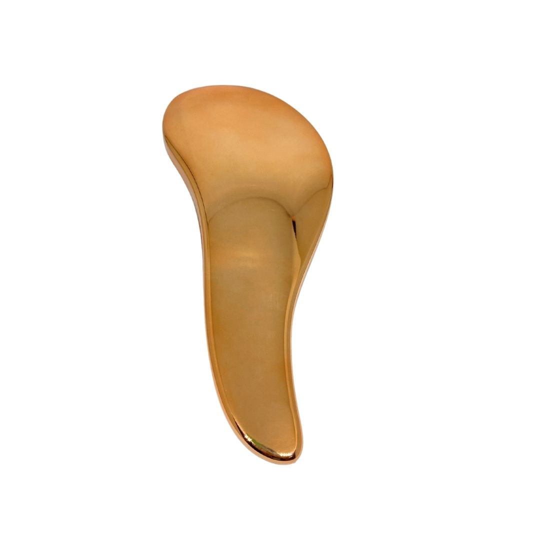 Cepillo Antifrizz Tangle